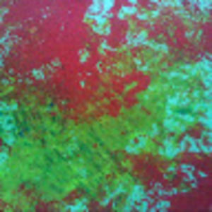 Meet your Posher, Eva